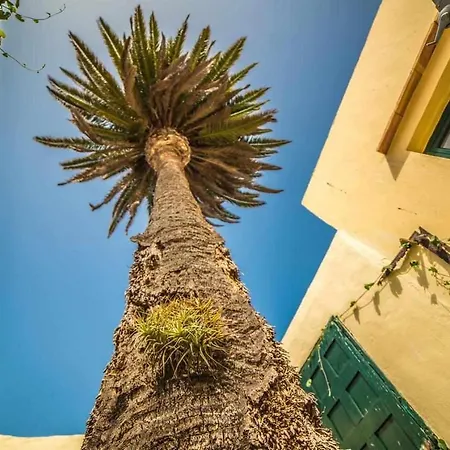 Ferienhaus Casa La Casita *