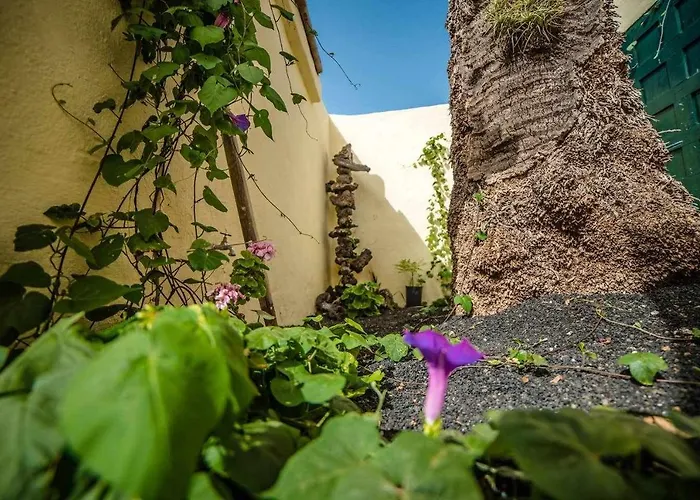 Casa La Casita Holiday home *