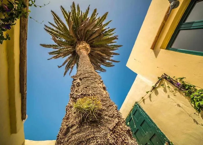 Tatil Evi Casa La Casita *